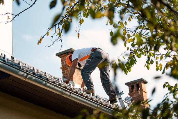 Best Gutter Installation and Roofing  in Buhl, MN