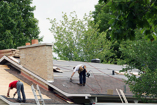 Best Roof Gutter Cleaning  in Buhl, MN