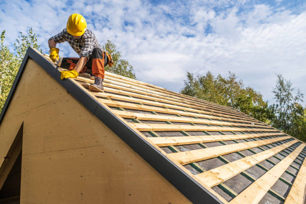 Best Roof Leak Repair  in Buhl, MN
