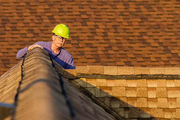 Best Metal Roofing Contractor  in Buhl, MN