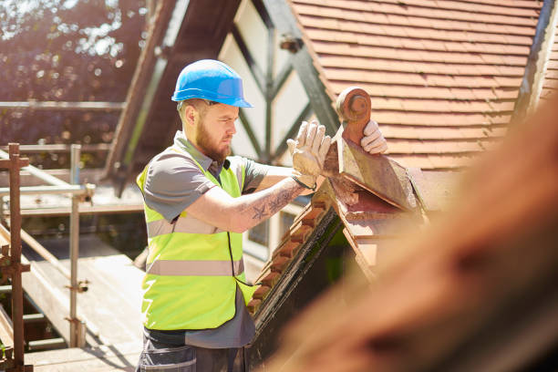 Best Metal Roofing Contractor  in Buhl, MN